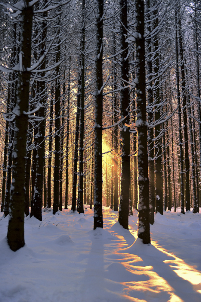3. Platz Franz Müller